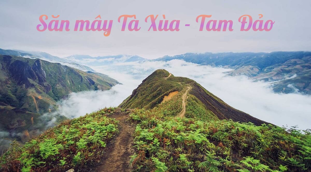
                                                                                                                                                            THÁNG 10 – TRẢI NGHIỆM SĂN MÂY TÀ XÙA, TAM ĐẢO 
                                                                                                                                                    