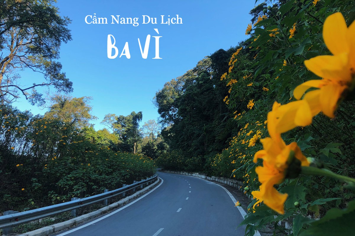 
                                                                                                                                                            DU LỊCH BA VÌ CÓ GÌ HOT? CẨM NANG DU LỊCH BA VÌ 
                                                                                                                                                    
