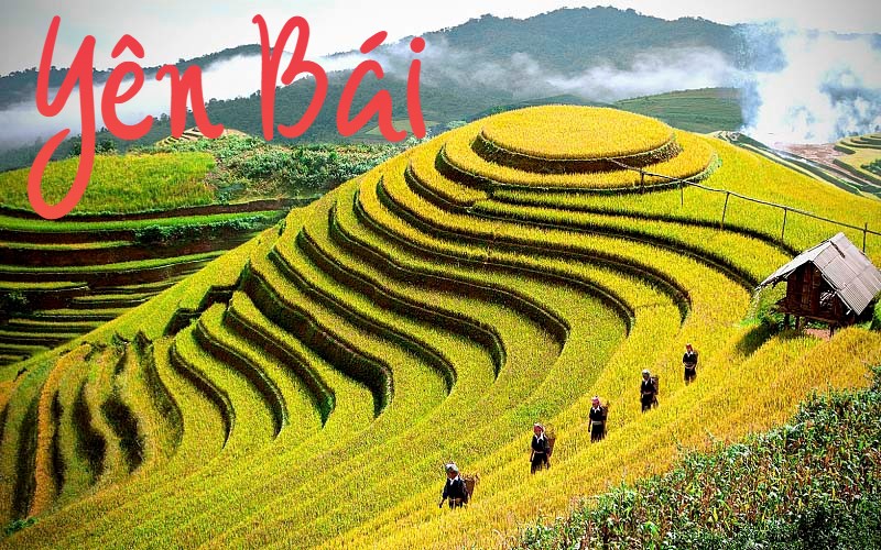 
                                                                                                                                                            8 ĐỊA ĐIỂM DU LỊCH YÊN BÁI KHÔNG THỂ BỎ QUA 
                                                                                                                                                    