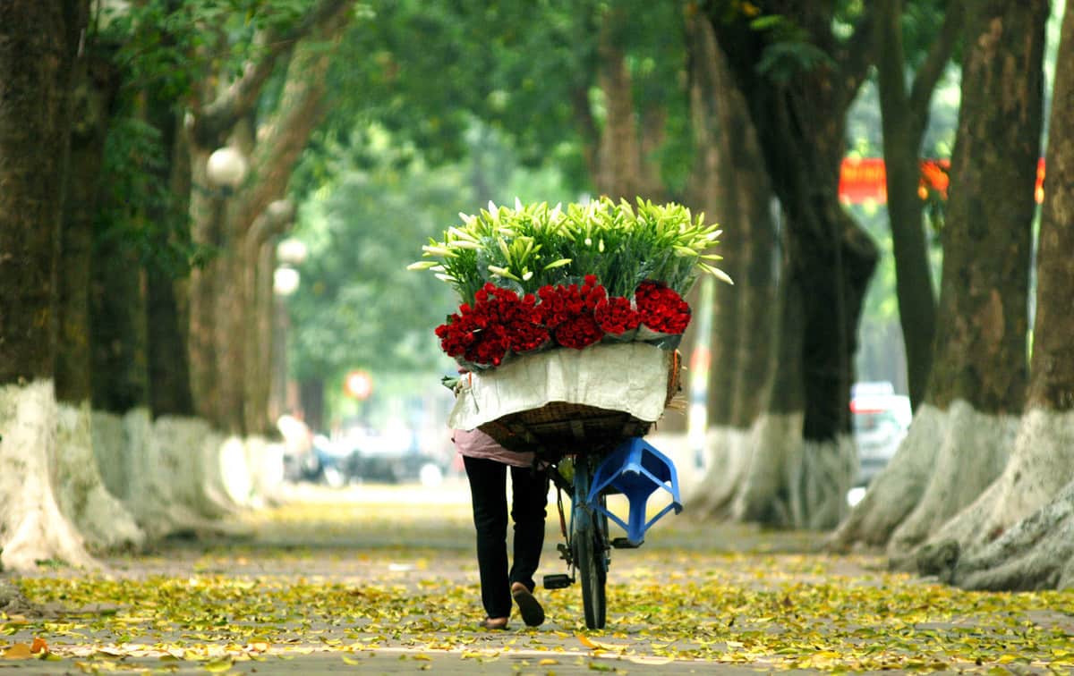 
                                                                                                                                                            VÒNG QUANH HÀ NỘI CÓ NHỮNG GÌ? 
                                                                                                                                                    
